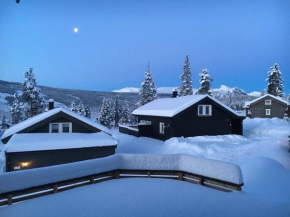 Modern cabin, great view, sunny, 2BA, 4BR